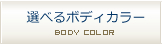 選べるボディカラー